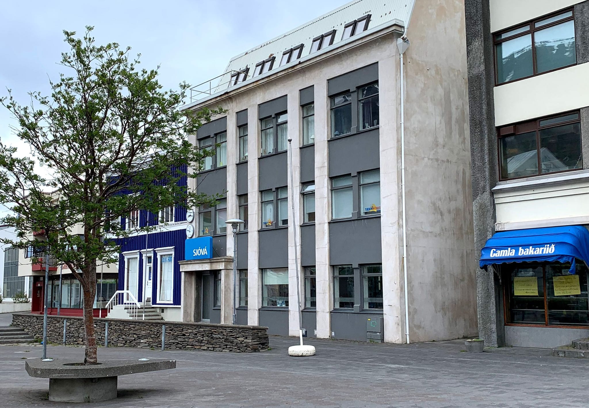 Street view with old multistory buildings and a huge tree 