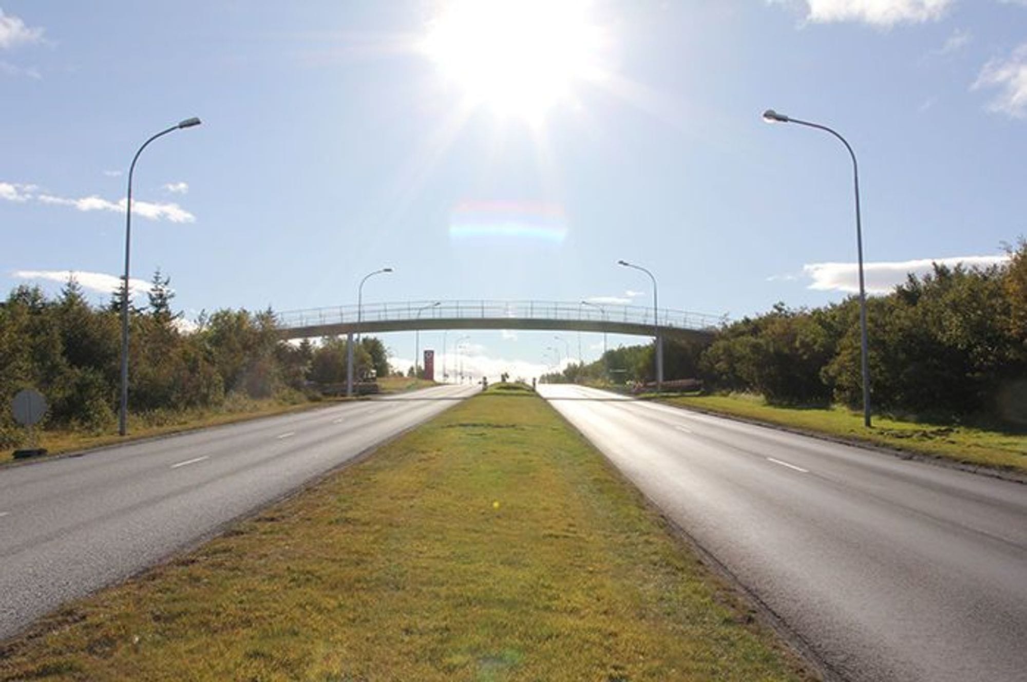 Tree lined up road leading towards a pedestrian overpass under sunny anda clear sky