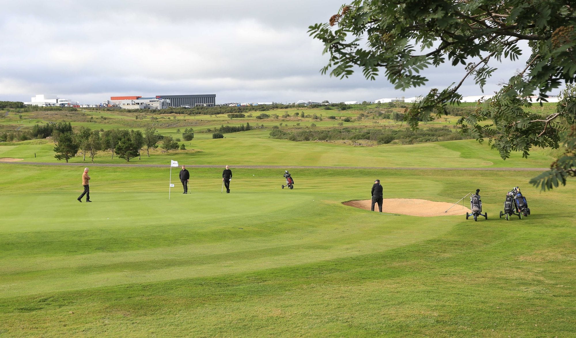 Golfers scattered across a golf course 
