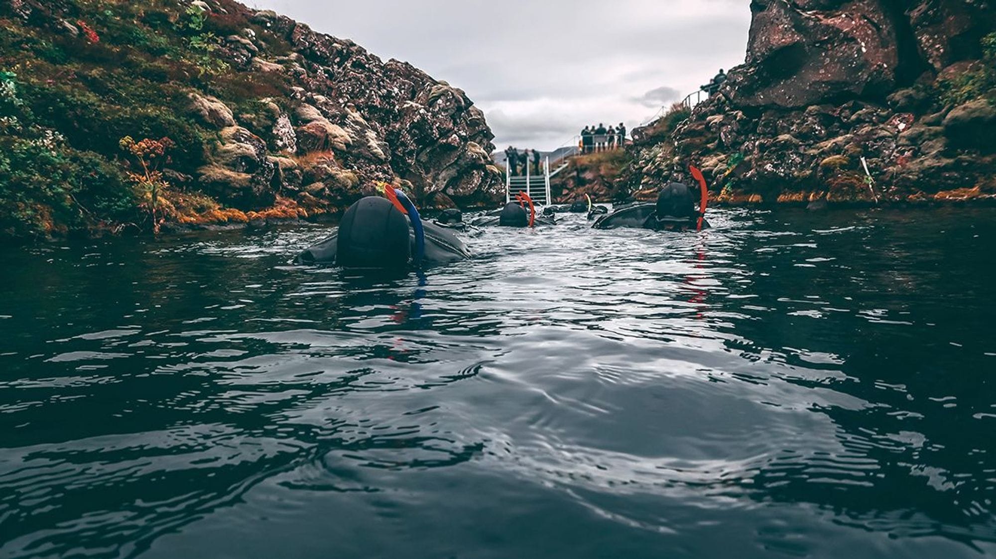 Few diver in black wet suit about to go under water
