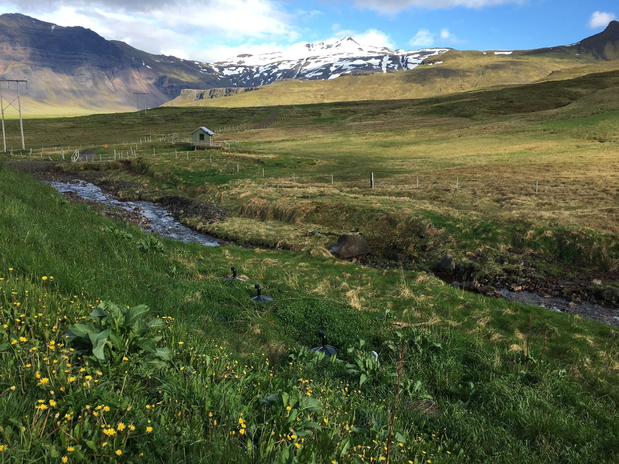Hálendi á Íslandi með árfarvegi að sumri til.