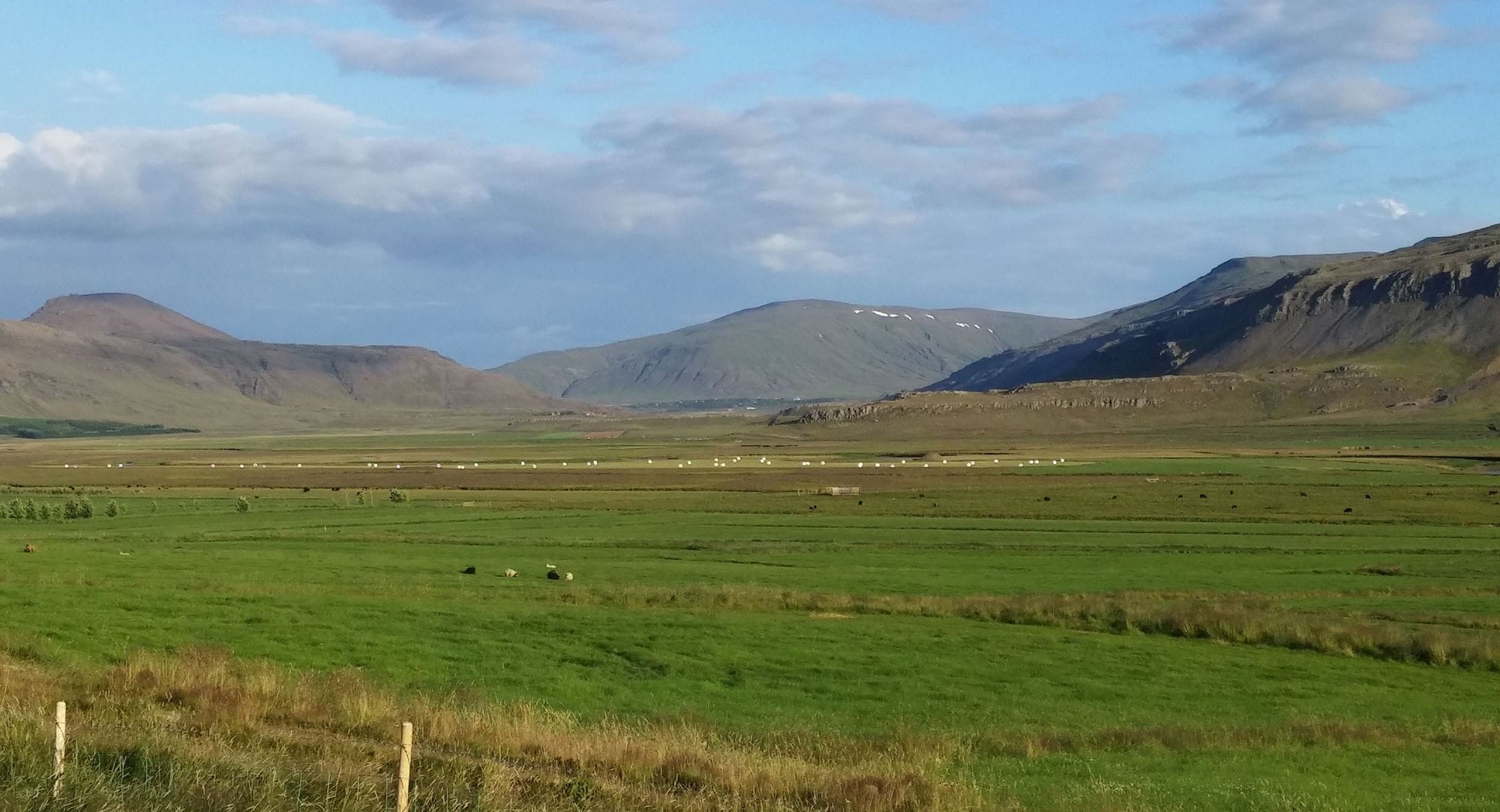 Tún með fjöll í baksýn að sumarlagi.