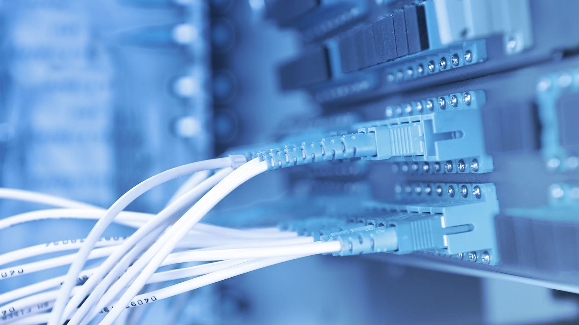 Close up photo of cables plugged into a switch or server