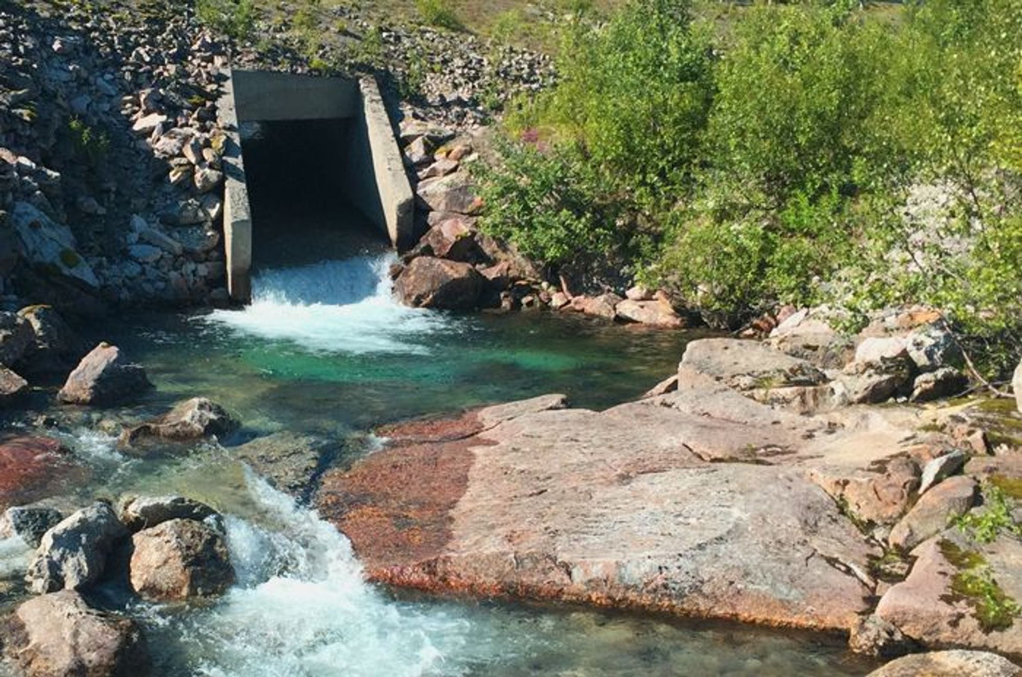 stream of water passing through dam, surrounded by greenary