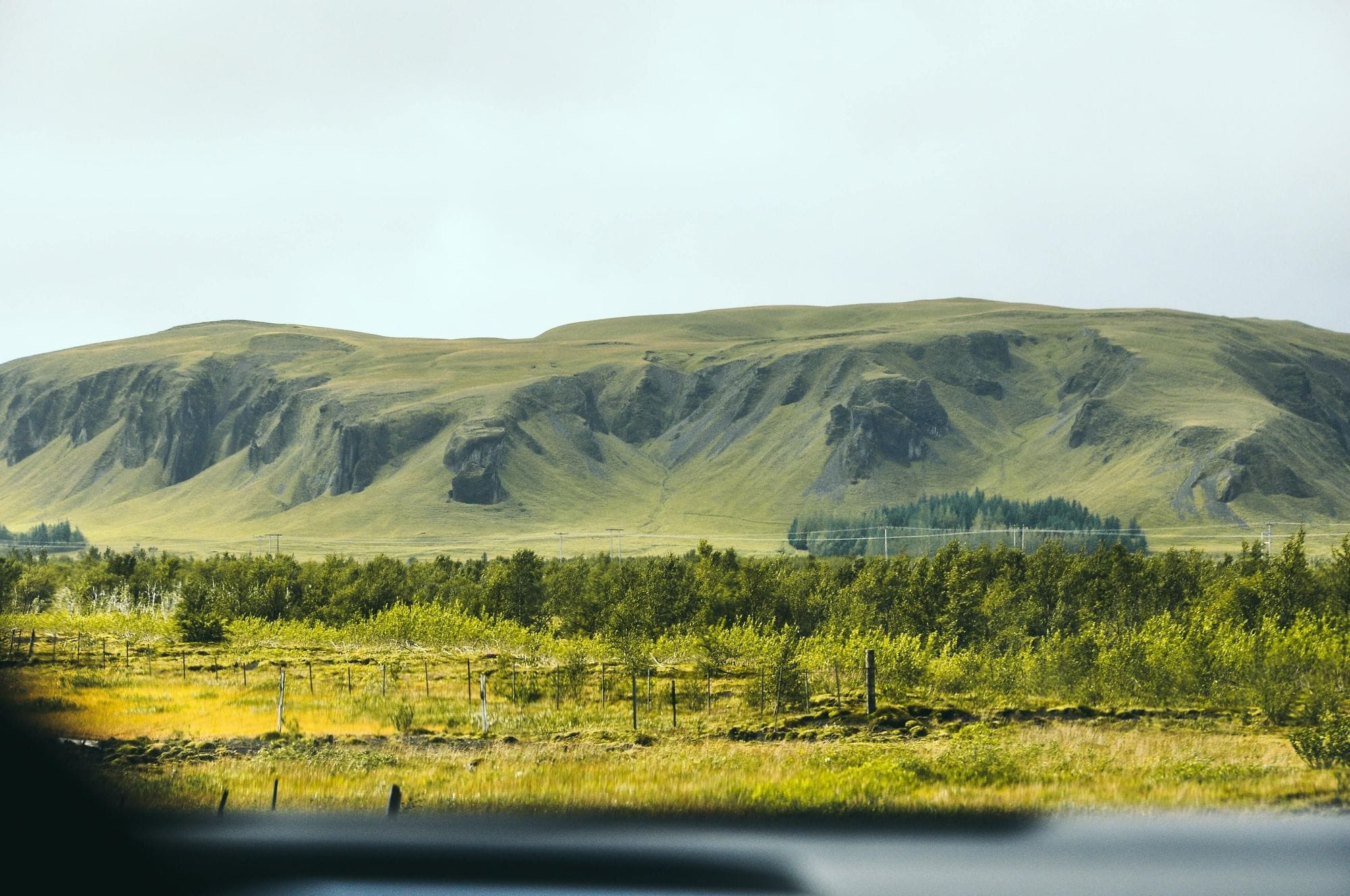 A vast landscape featuring grassy field and dense tree line