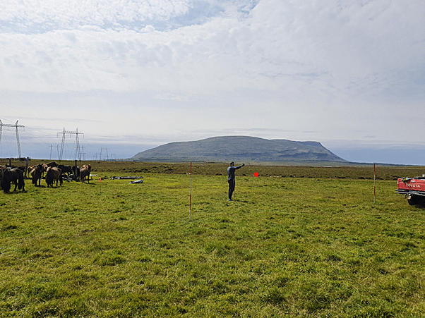 Maður úti á túni.