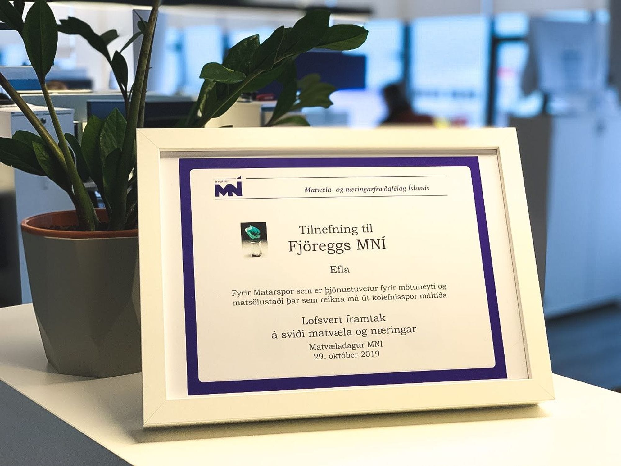 A potted plant behind a white framed certificate