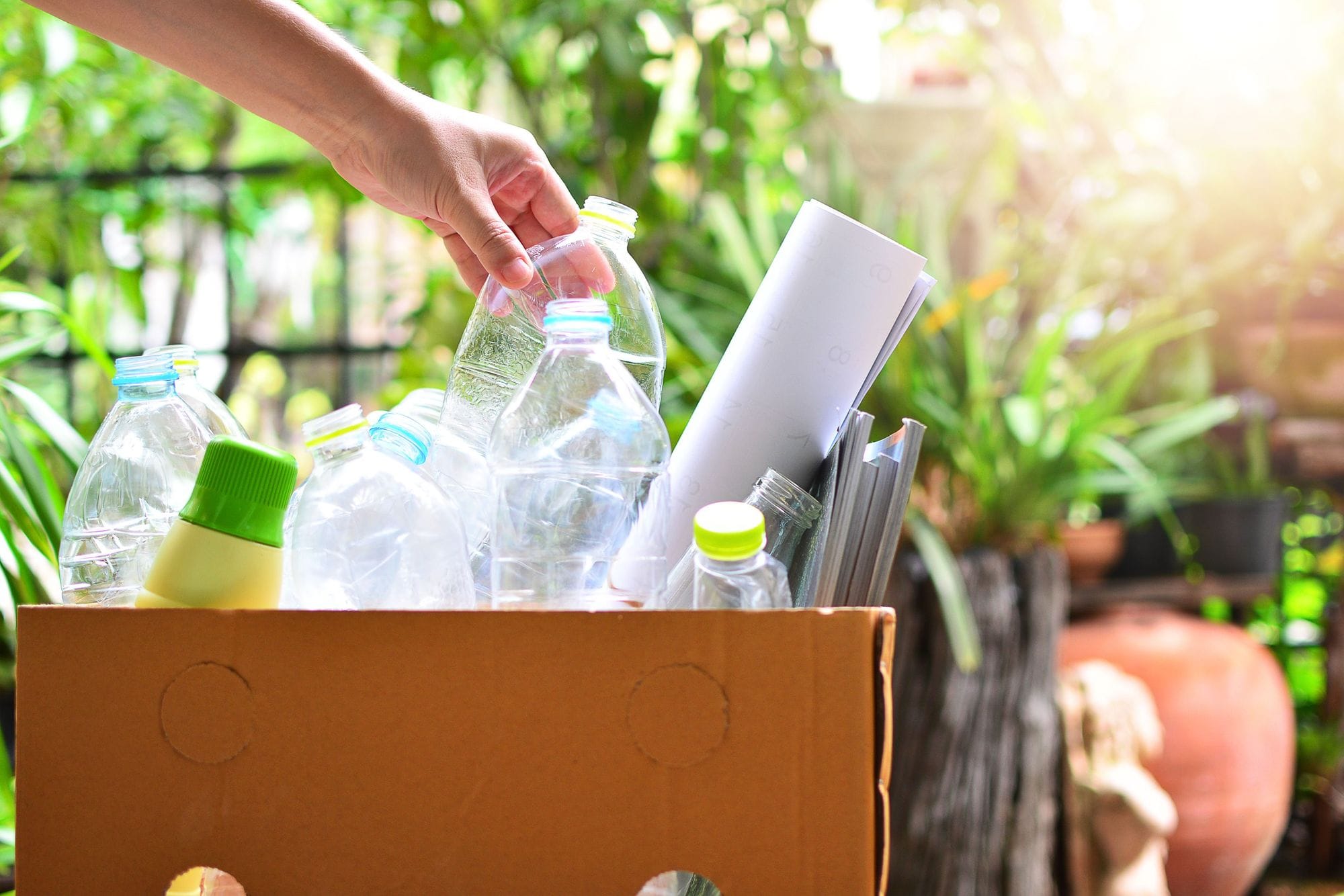 Hönd að setja plastflösku í plastrusl, flokkað