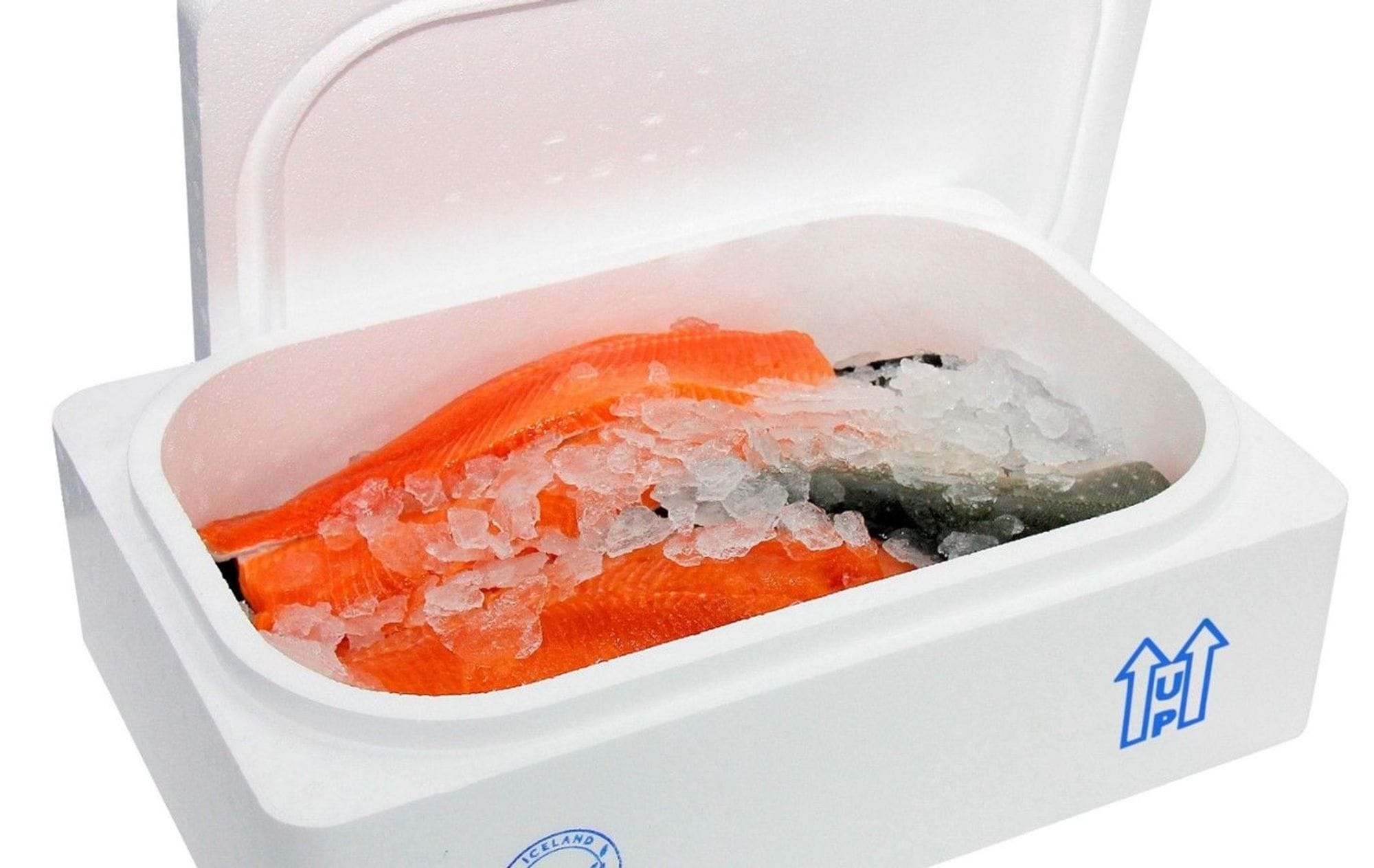 picture of a salmon in styrofoam box