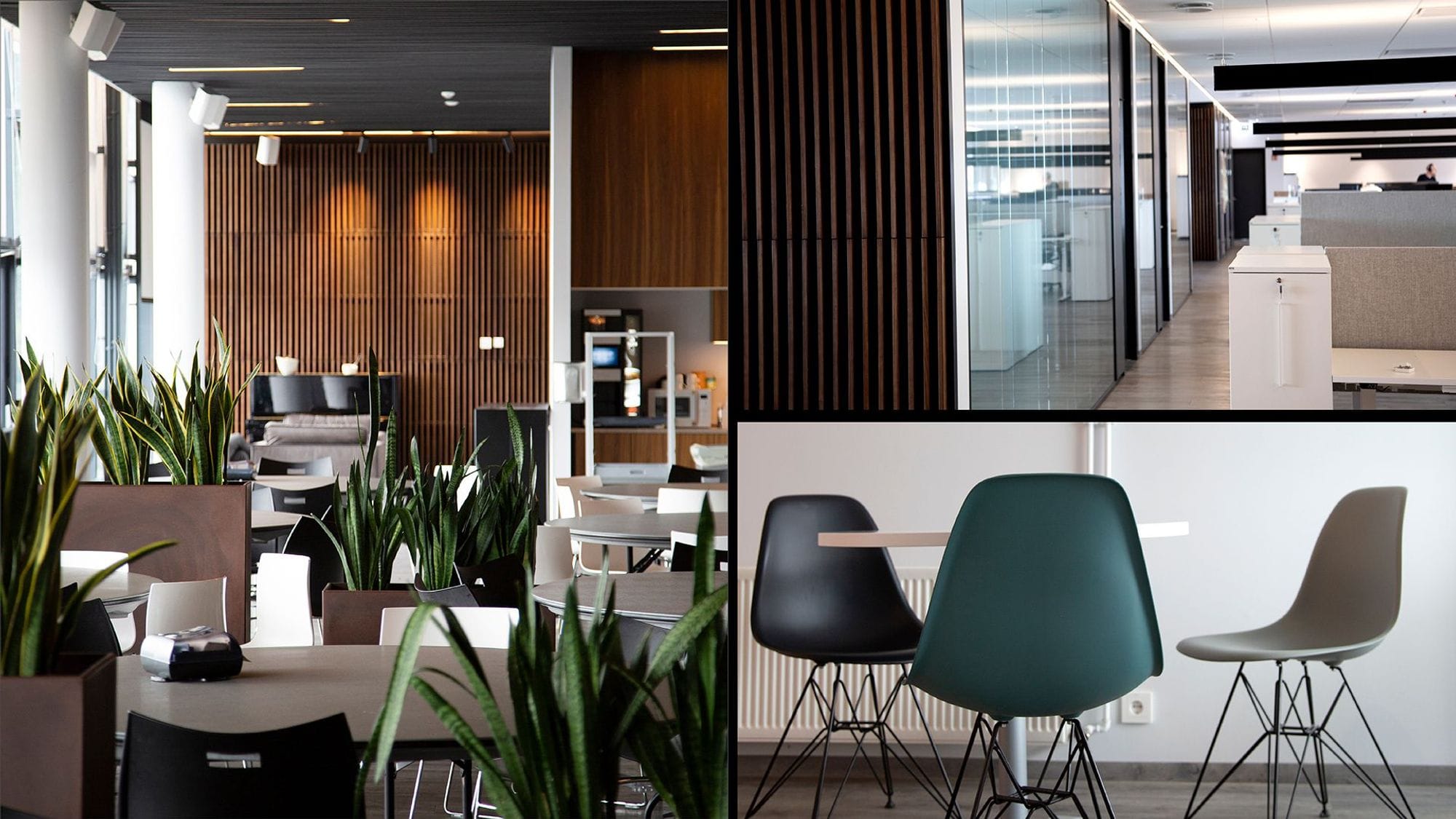 collage of three pictures featuring cozy lounge area, modern office space and office chairs around a round table