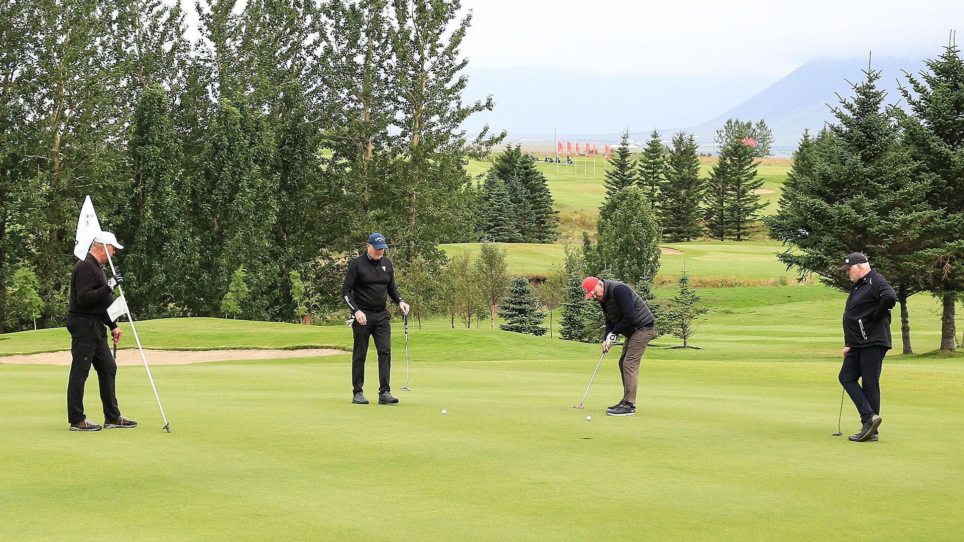 Four individuals on a golf course  with one preparing to putt and others watching  him
