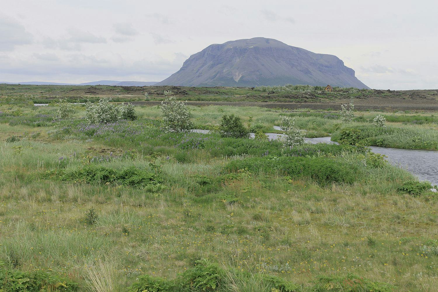 Green landscape with flat-topped mountain in the distance