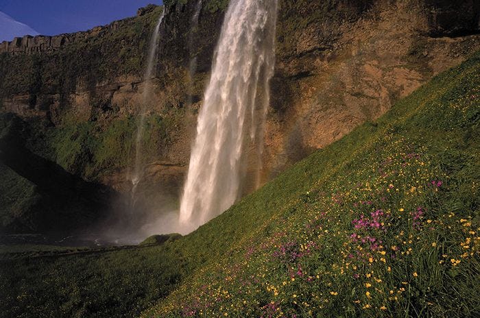 A scenic view of waterfall and a flower speckled landscape