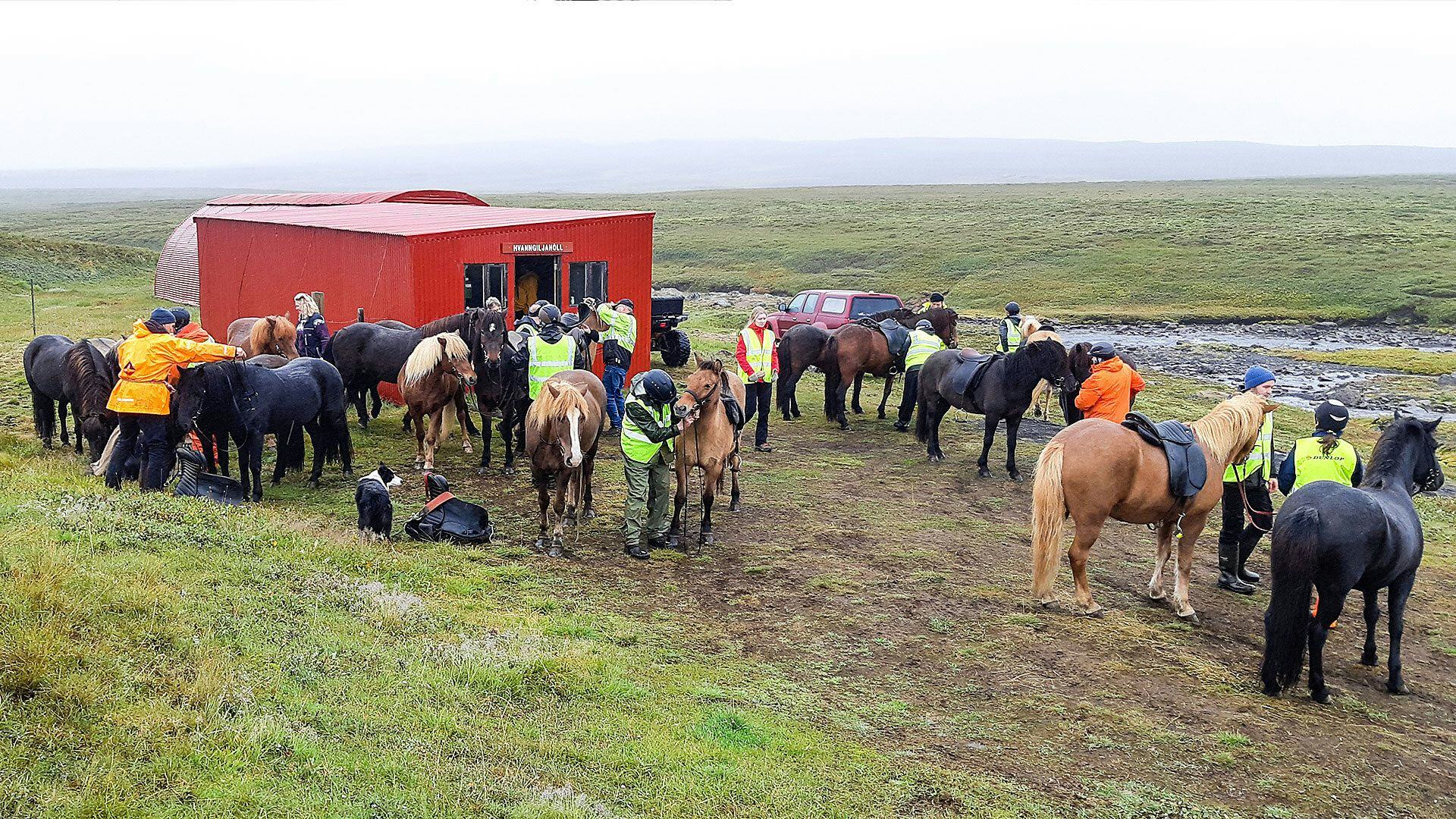 A group of people and horses gathered outside a red building in a grassy rural setting