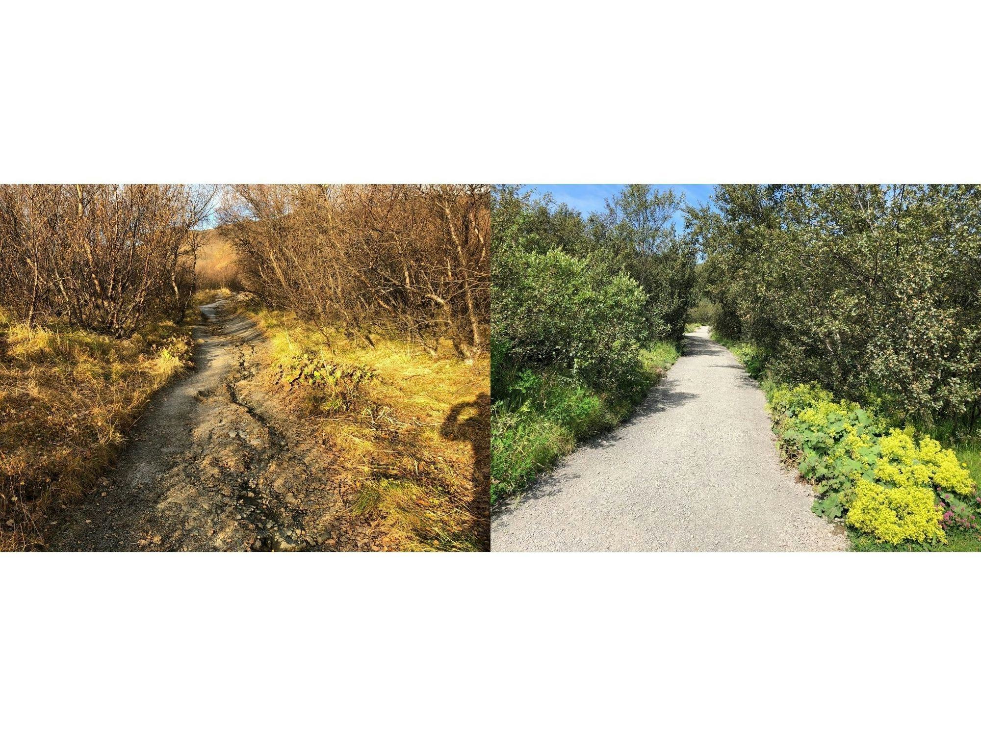 The picture shows one rugged dirty path and the other a smooth gravel walkway