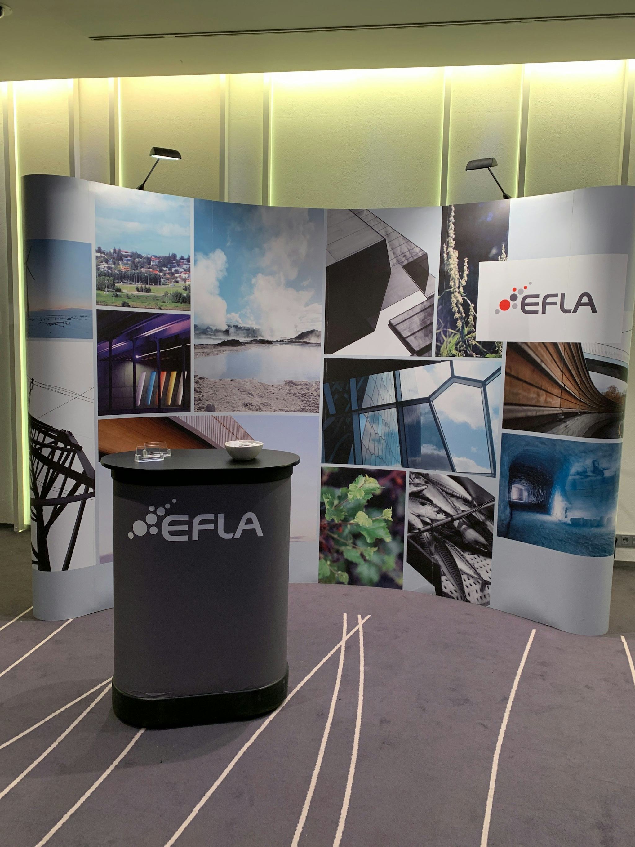 ELFA promotional booth with big banner