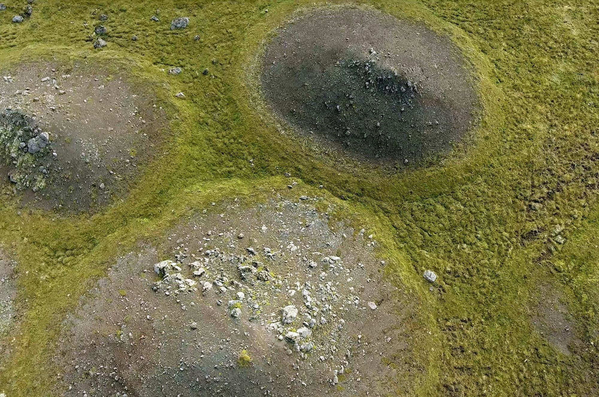 Green moss covered ground with circular formation 