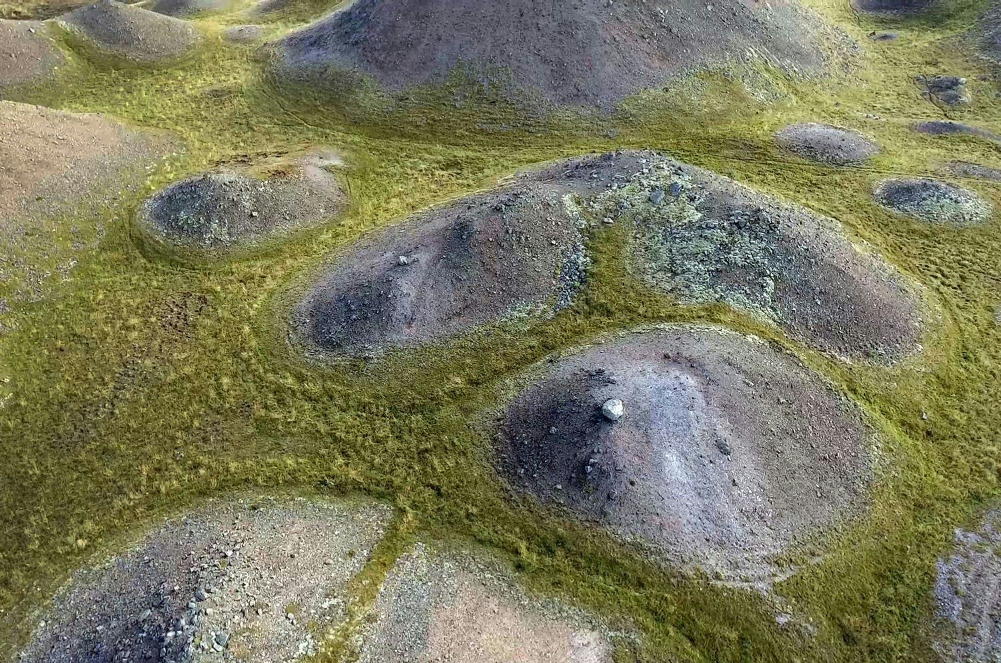 Green moss covered ground with circular formation 