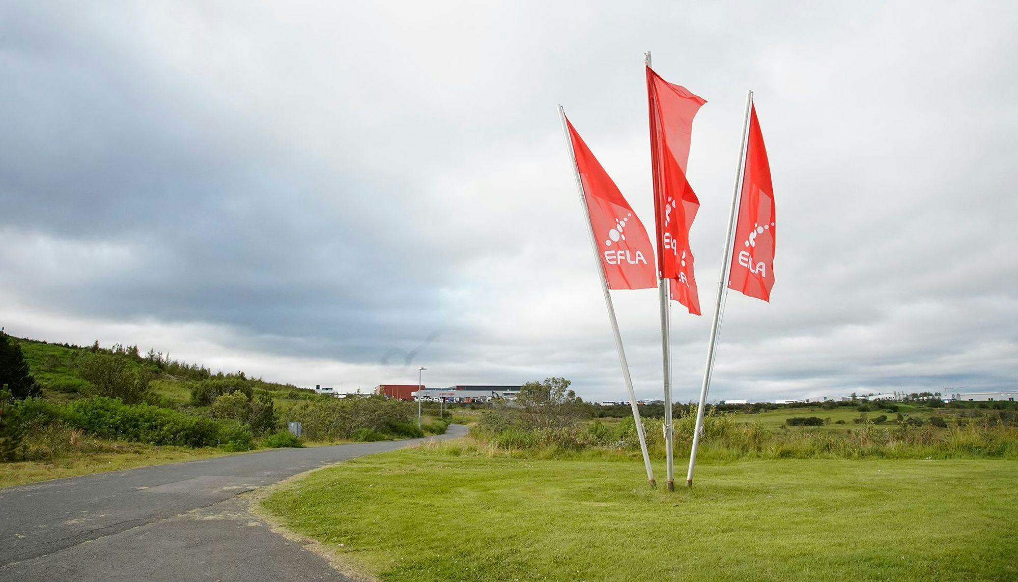 Three red flags with the logo "EFLA" fluttering in the wind on a golf course 