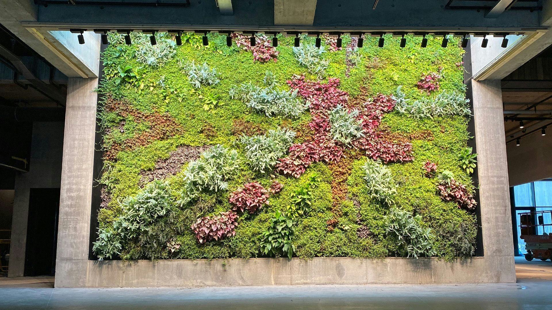 A vertical garden with various plants creating a textured green wall