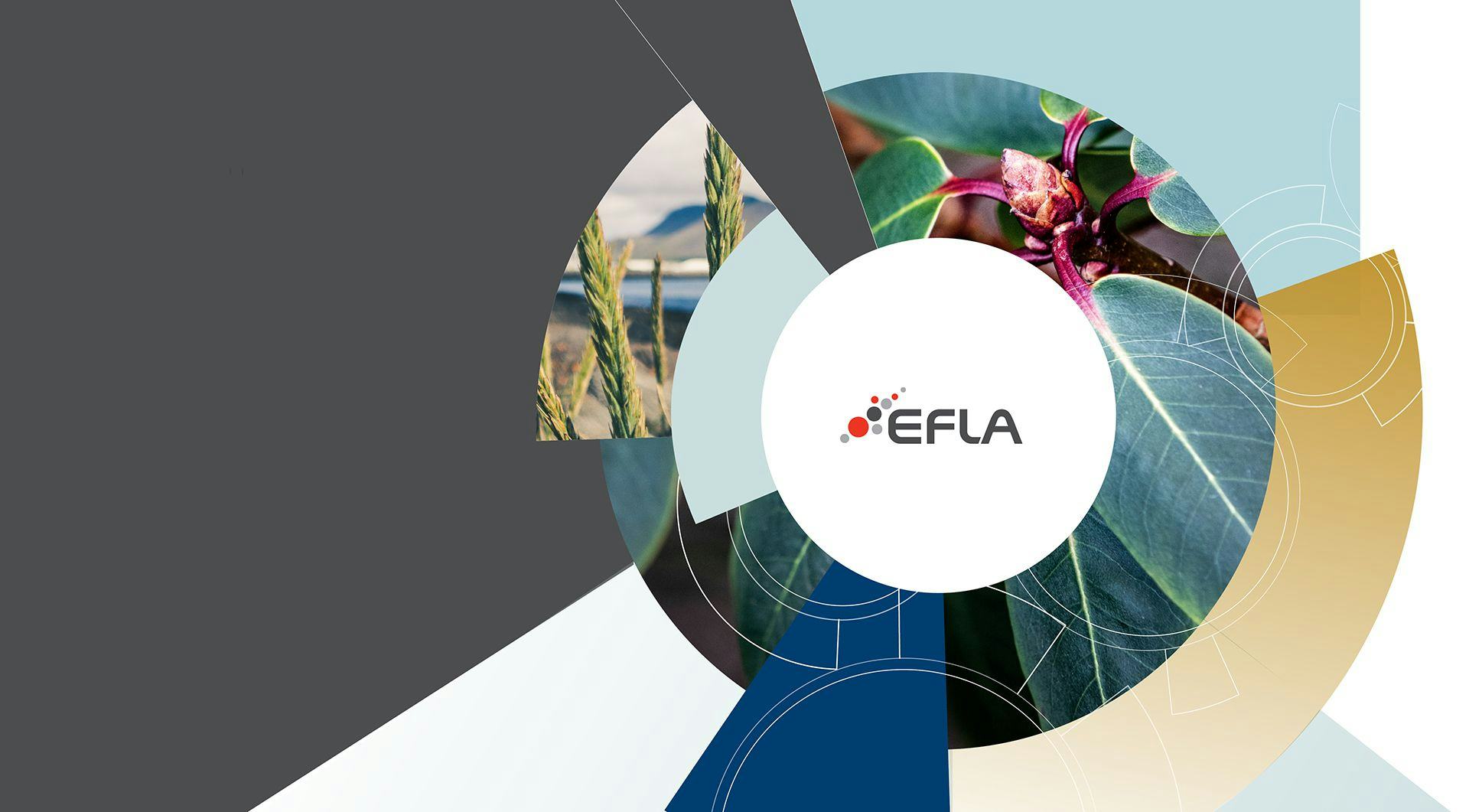 EFLA logo with a blurred natural green plant in the background