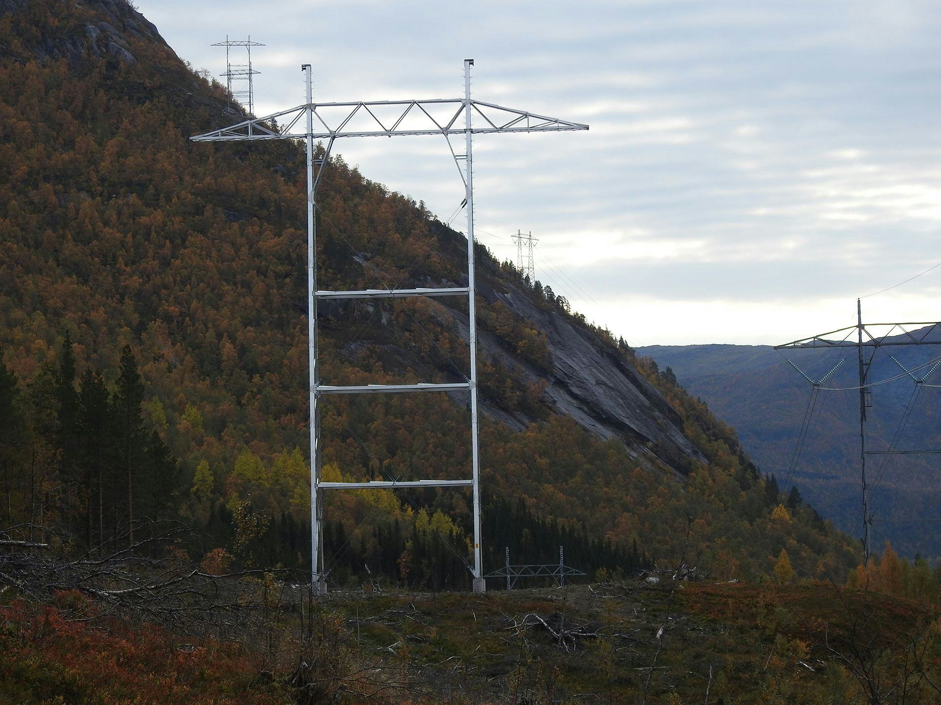 A large electricity pylon situated on a forested hillside