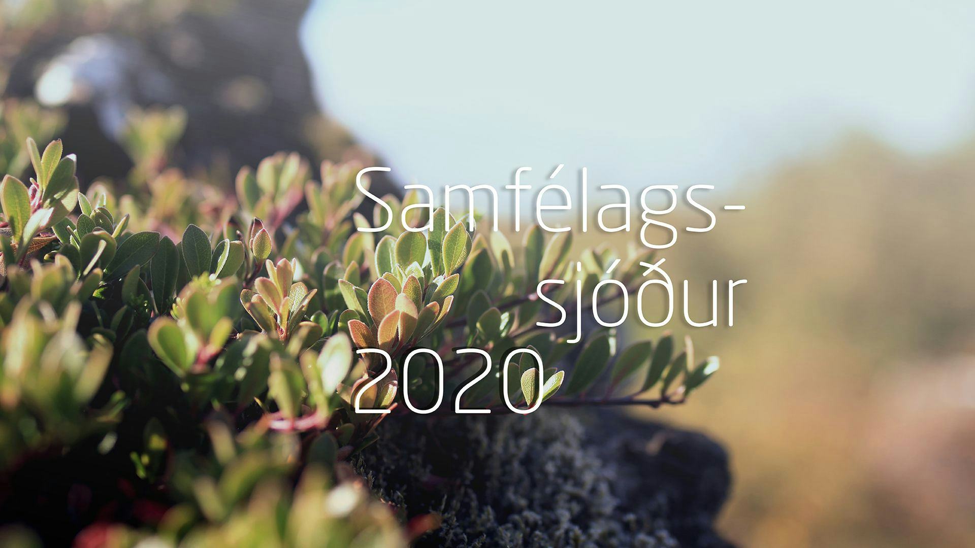 Photo of a sunlit green plants with the text "Samfelagssjodur 2020" superimposed over it