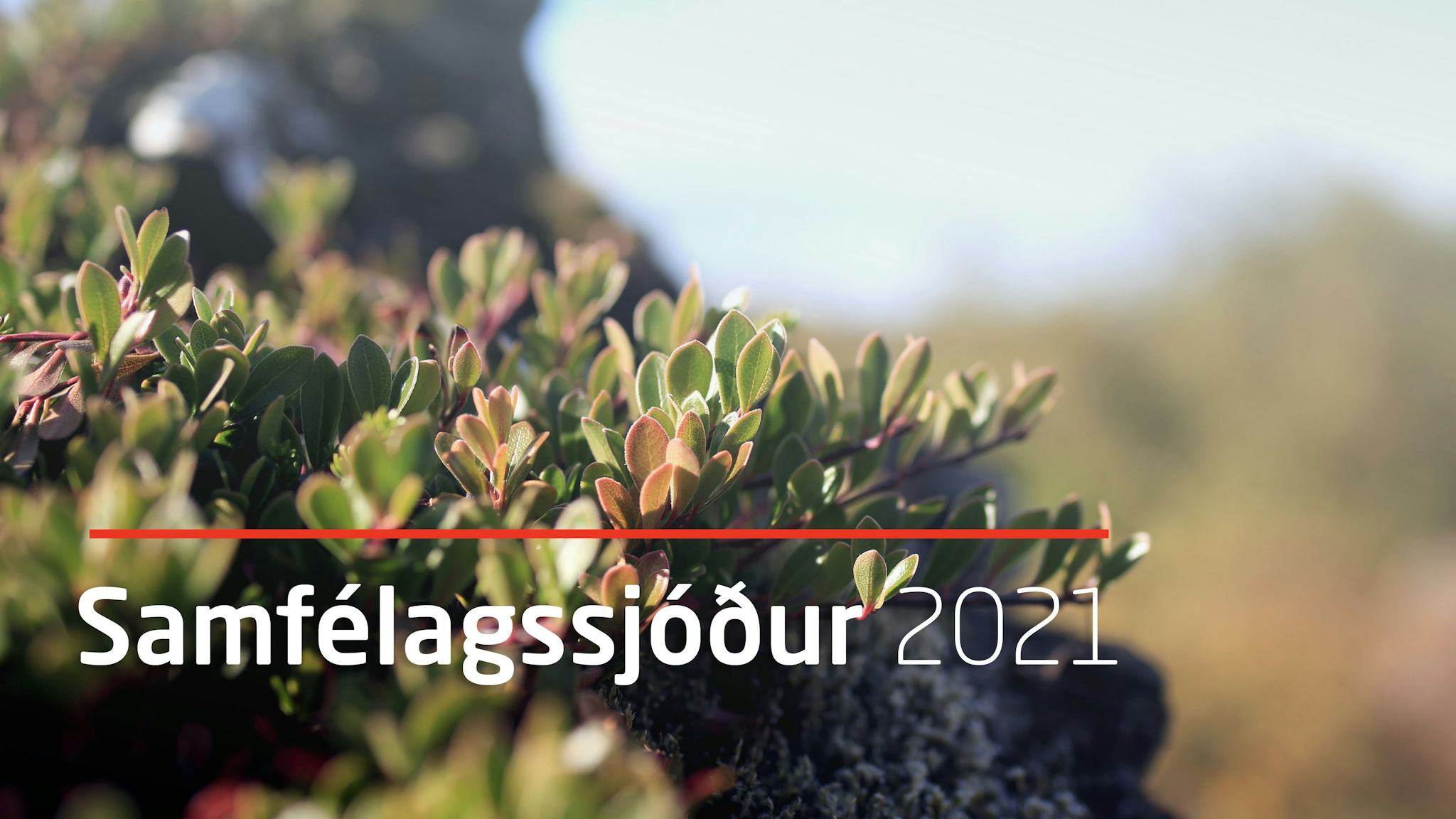 A close up of green shrubbery with a text overlay that reads "Samfélagssjóður 2021"