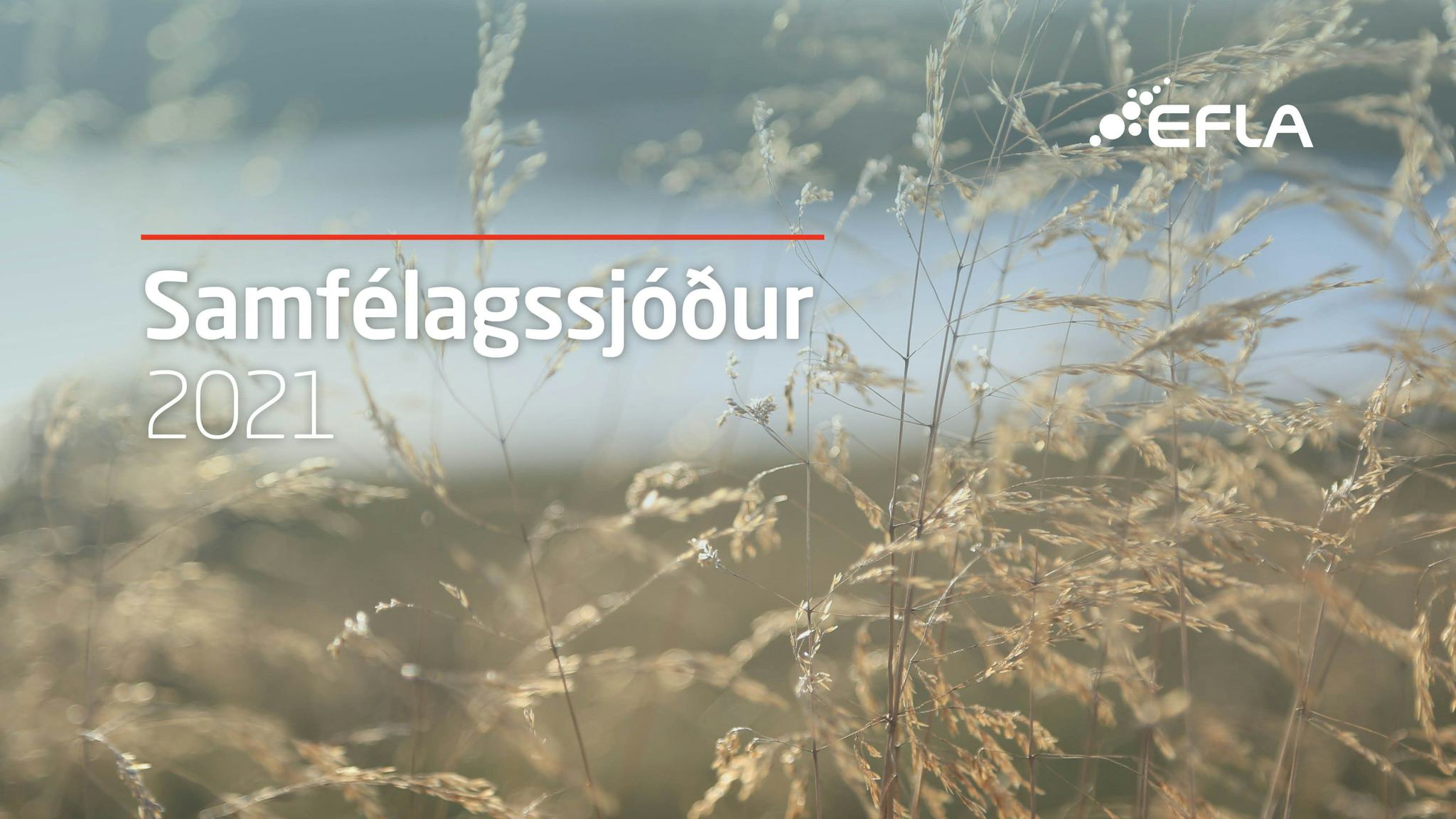A backdrop of sunlit grasses with the text "Samfélagssjóður 2021" and the logo "EFLA"