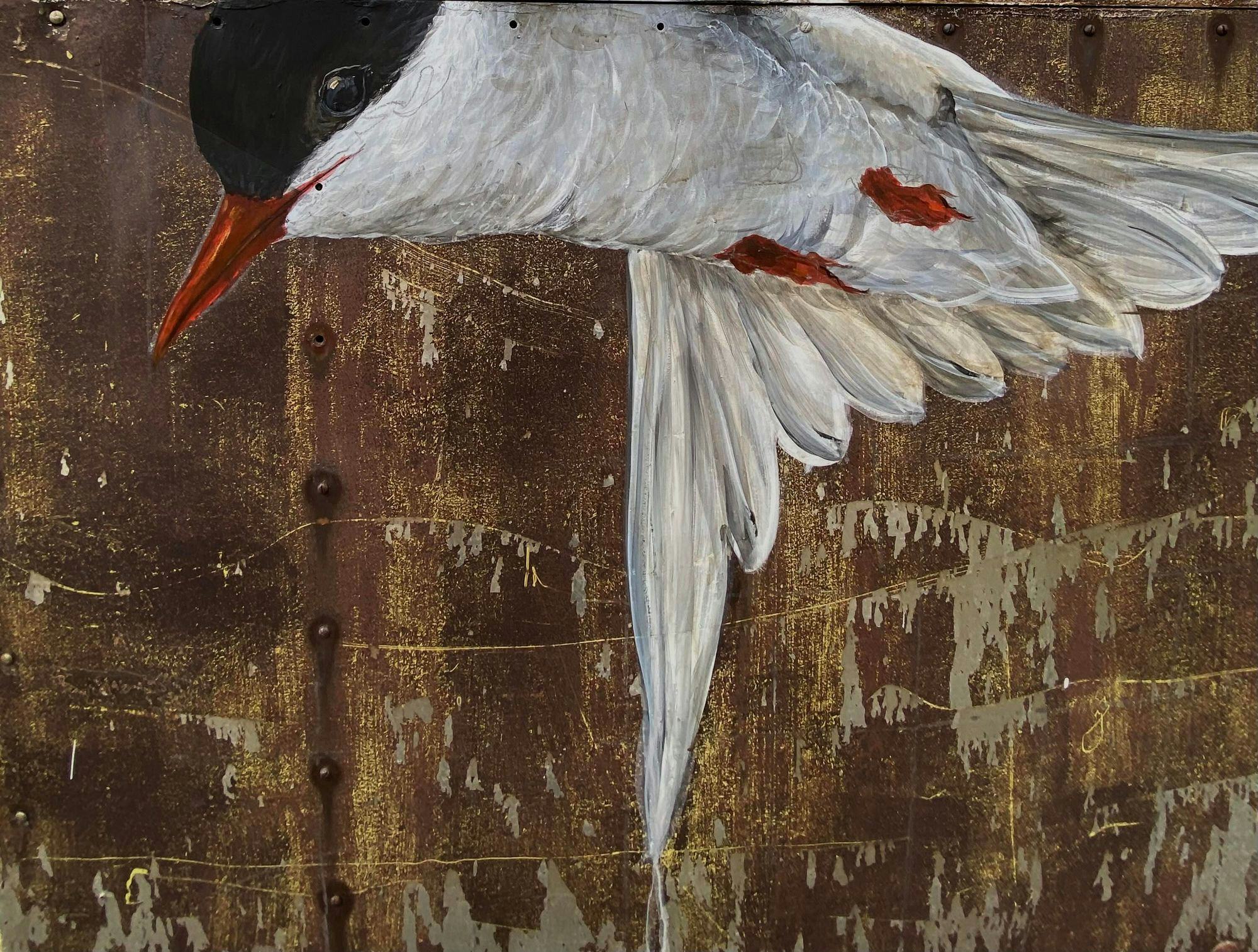 A detailed painting of a bird in flight with red beak set against brown textured background